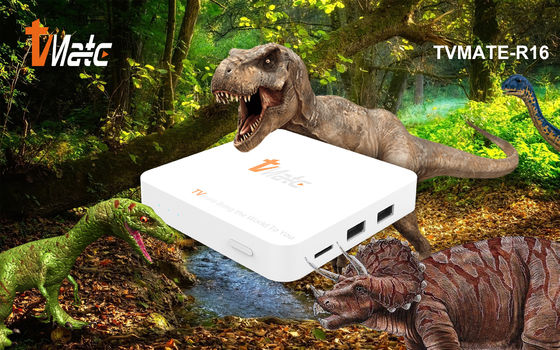 OTT Android TV Box Rockchip 322X Quad-Core Cortex-A7 สูงสุด 1.5GHz Smart TV Box Android